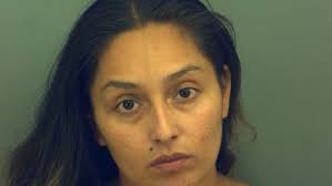 Update: Dogs, drugs, weapons, money seized in east El Paso shooting incident