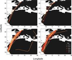 Maybe you would like to learn more about one of these? Frontiers High Migratory Survival And Highly Variable Migratory Behavior In Black Tailed Godwits Ecology And Evolution