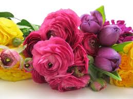 Find pictures of over 1,000 flowers with names on my pinterest board. In 4 Steps Learn How To Plan For Diy Wedding Flowers