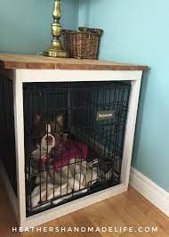 Pin On Dogs
