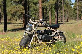 Powering this little bike is a 4 stroke lhv single cylinder 196 cc engine pushing out 6.5 horses for your outdoor enjoyment. Coleman Powersports 200cc Gas Powered Camo Ride On Mini Bike Walmart Com Walmart Com
