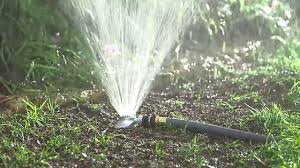 We recently installed a lawn sprinkler system and need a few watering tips. Watering New Grass Seed How Often How Much To Water New Seeds