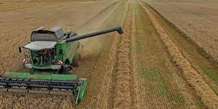 Der raps wurde und wird in deutschland üblicher weise ende juli / anfang august im mädruschverfahren geerntet, natürlich in abhängikeit von sorte. In Brandenburg Wird Immer Weniger Raps Angebaut