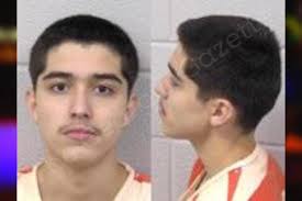Martin Luna — Paulding County Jail Bookings