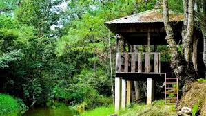 VISITA EL BIOTOPO MARIO DARY, RESERVA DEL QUETZAL
