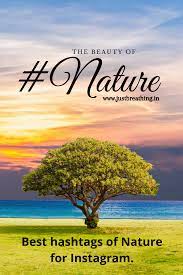 Best Hashtags Of Nature For Instagram Best Nature Photography Hashtags To Get More Like Nature Nature Hashtags For Instagram Nature Photography Nature