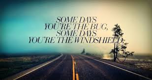 Some Days You Re The Bug And Some Days You Re The Windshield Inspiring Quotes About Life Life Quotes To Live By Motivational Quotes For Life