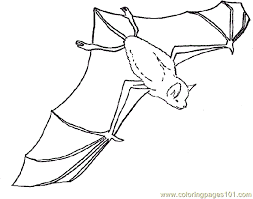 Rouge sonic the hedgehog coloring pages. Bat Coloring 14 Coloring Page For Kids Free Bat Printable Coloring Pages Online For Kids Coloringpages101 Com Coloring Pages For Kids