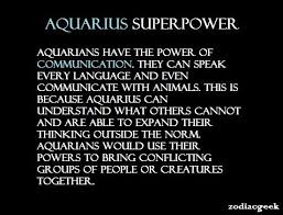 Cat Pupils Aquarius Quotes Zodiac Signs Aquarius Aquarius Truths
