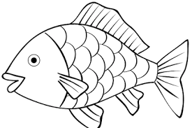 Maybe you would like to learn more about one of these? 27 Mewarnai Gambar Ikan Lucu Paling Baru Lingkar Png