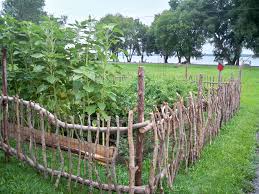 Stick Fence I Love This St Won T Go For It Though Diy Garden Fence Garden Fencing Garden Fence