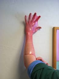 images?q=tbn:ANd9GcT_Onfh6Ng-NasrfTNGZn5iSEskPF8XblMPTtapgiz4jUzP7eEC