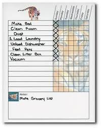 Details About Teen Adult Chore Chart Works As Dry Erase Board Weekly Multiple Themes