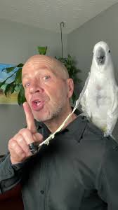 How i made it float #easymagictricks #funnytrick #birdtrick