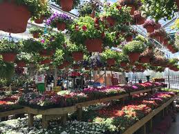 He treats flowers as art to express beauty, excitement, and unprecedented originality. Our Greenhouse Jerry S For All Seasons