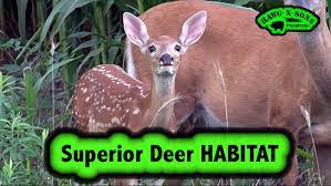 I'm just shocked that from everything ive read online that i could watch the racoons eat the poison and just frolic away. Drunk Raccoon Hunting Or Dr Pepper And Golden Malrin Fly Bait Youtube