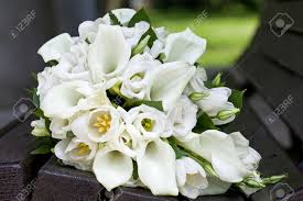 Tulips and lilacs bridal bouquet | flower bouquet wedding, wedding flowers tulips, tulip bridal bouquet. Bridal Bouquet Of Calla Lilies And Tulips Flowers For The Wedding Stock Photo Picture And Royalty Free Image Image 28572353