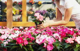 Products.bestreviews.com has been visited by 1m+ users in the past month The Benefits Of Proper Flower Care The Koch Blog