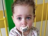 Money Box of the Donor Albert Piotrowski