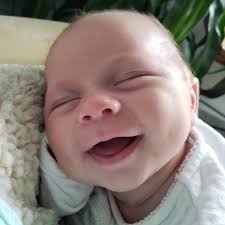 Birth Announcement: Hazel Taylor Wilkes