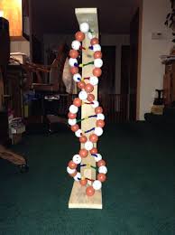 Biology Science Fair Projects For 10th Grade Dna Model 10th Grade Biologia Molecular Proyectos Biologia