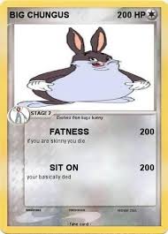 Pin By Luciana Colello On Big Chungus Funny Animal Memes Animal Memes Funny Animals