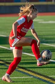 Image result for Emilia hockii