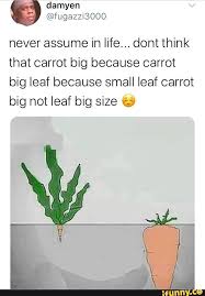 Never Assume In Life Dont Think That Carrot Big Because Carrot Big Leaf Because Small Leaf Carrot Big Not Leaf Big Size