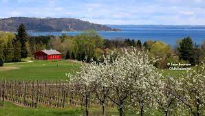 This picturesque village, near the tip of the old mission peninsula, was founded in 1839, today it is a resort area, reminiscent of a new england town surrounded by pristine fresh water. Op Ed Allow Airbnb Old Mission Peninsula Old Mission Gazette