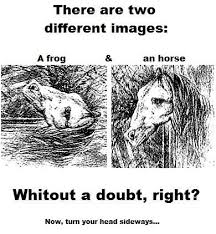 Horse Or A Frog Both Or Just One Cool Illusions Cool Optical Illusions Illusions