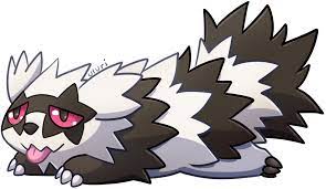 Galar Zigzagoon Pokemon Pokemon Pictures Cute Pokemon