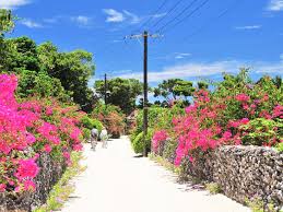 Image result for +bikyakudaimaou