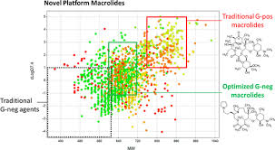 Image result for Extended Spectrum Macrolide