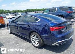 Image result for Navarra Blue 2024 A5