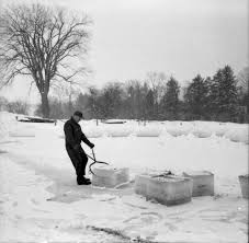 10 حقائق مدهشة عن الثلج عرب فيد Arabfeed