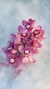 Find the best hd desktop computer backgrounds, mac wallpapers, android lock screen or iphone screensavers and many other favorite images in 2021 151 Hd Iphone X Wallpapers Cool Backgrounds Flowery Wallpaper Flower Background Wallpaper Pretty Wallpaper Iphone
