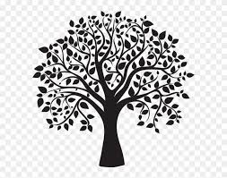 2,036 transparent png illustrations and cipart matching tree branch silhouette. Arbre Silhouette Png Tree Clipart Black And White Transparent Png 4697715 Pikpng