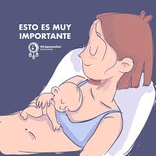 Iris Rentería (@atrapasuenos_mx) • Instagram photos and videos