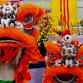 Vietnamese Lunar New Year 2025