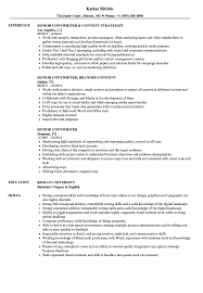 senior copywriter resume samples