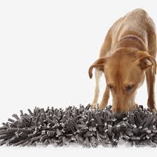 Dog puzzle toys are great for when you have to leave your dog home alone. 18 Best Food Puzzles For Cats And Dogs The Strategist