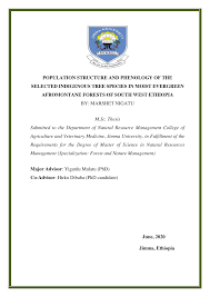 Image result for Pouteria adolfi-friederici