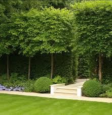 Our certified gardeners are on hand for all projects, big or small. Pin On Gardens