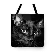 Historic Cross Section Tote Bag by Curtis Boggs