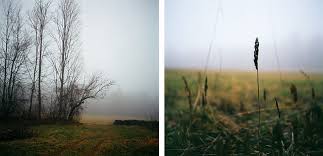 Ashley Vivian Augustine