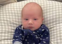 Successful Adoptions: Photolisting