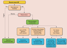 Image result for Atrial Fibrillation Rhythm Control