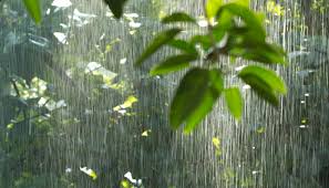 「梅雨」の画像検索結果
