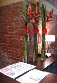 Kate Hill Flowers Gallery Cicek Aranjmani Tropik Cicekler Cicek