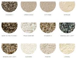 Stainmaster petprotect carpet near me. The Best Pet Friendly Carpet Choice Fox Hollow Cottage
